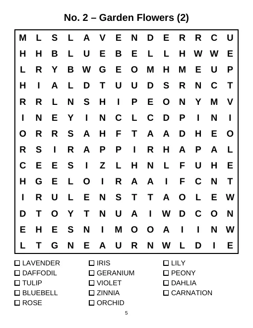 Sample interior page from Large Print Word Search for Adults and Seniors